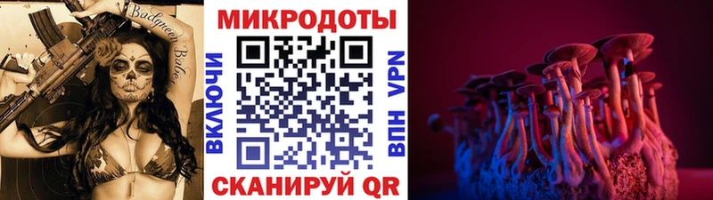 Псилоцибиновые грибы ЛСД  Купить  Новый Уренгой 